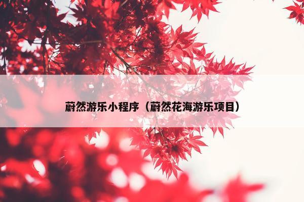 蔚然游乐小程序（蔚然花海游乐项目）