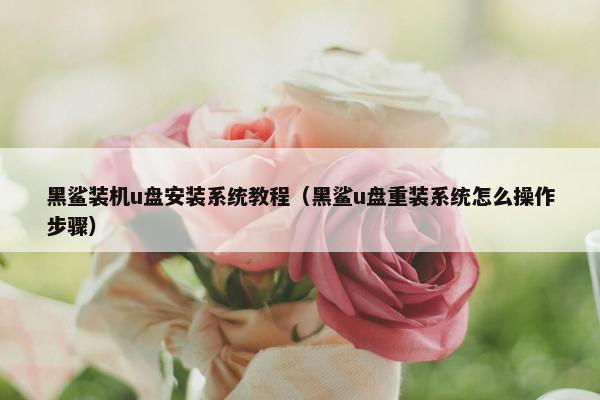 黑鲨装机u盘安装系统教程（黑鲨u盘重装系统怎么操作步骤）