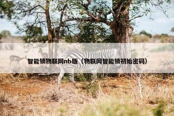 智能锁物联网nb版（物联网智能锁初始密码）