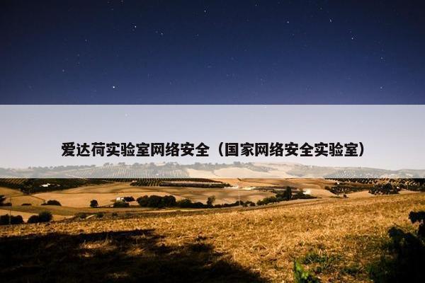 爱达荷实验室网络安全（国家网络安全实验室）