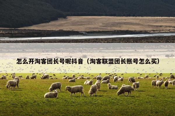 怎么开淘客团长号呢抖音（淘客联盟团长账号怎么买）