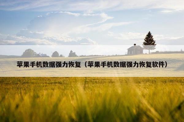 苹果手机数据强力恢复（苹果手机数据强力恢复软件）