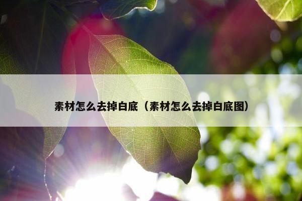 素材怎么去掉白底（素材怎么去掉白底图）