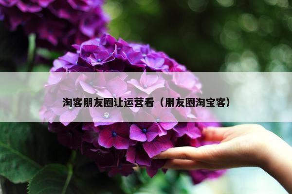 淘客朋友圈让运营看（朋友圈淘宝客）