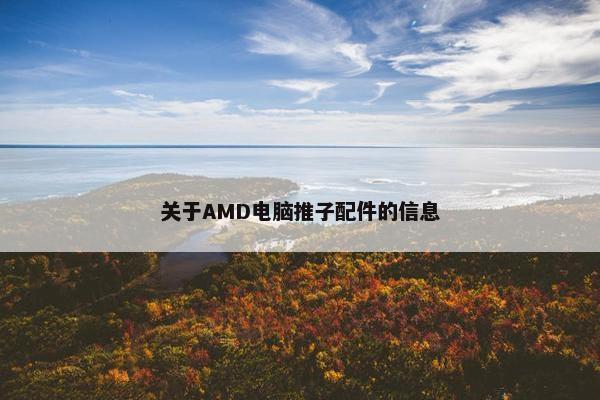 关于AMD电脑推子配件的信息