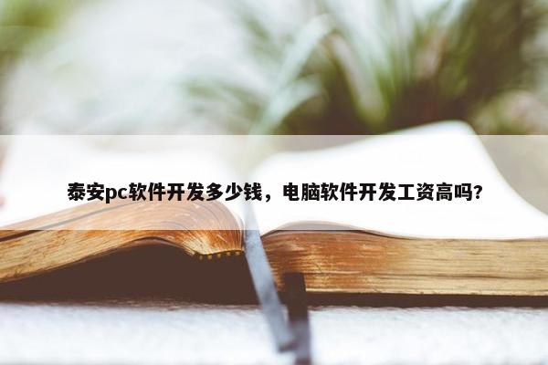 泰安pc软件开发多少钱，电脑软件开发工资高吗?