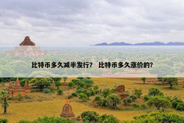 比特币多久减半发行？ 比特币多久涨价的？