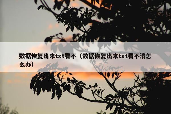 数据恢复出来txt看不（数据恢复出来txt看不清怎么办）