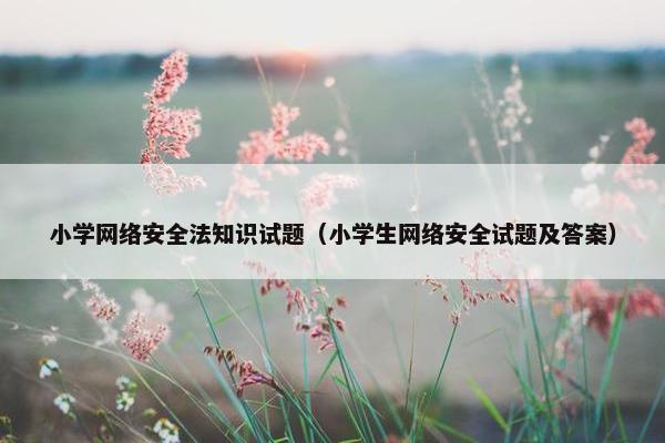 小学网络安全法知识试题（小学生网络安全试题及答案）