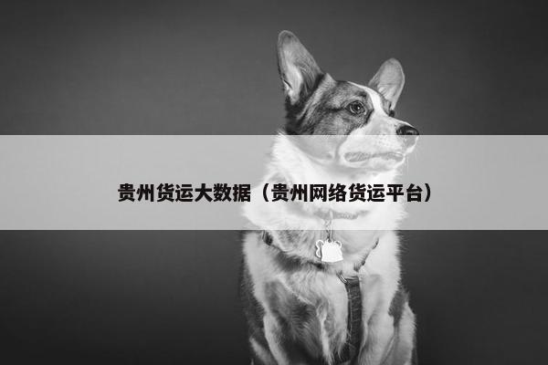 贵州货运大数据（贵州网络货运平台）