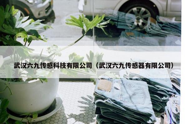 武汉六九传感科技有限公司（武汉六九传感器有限公司）