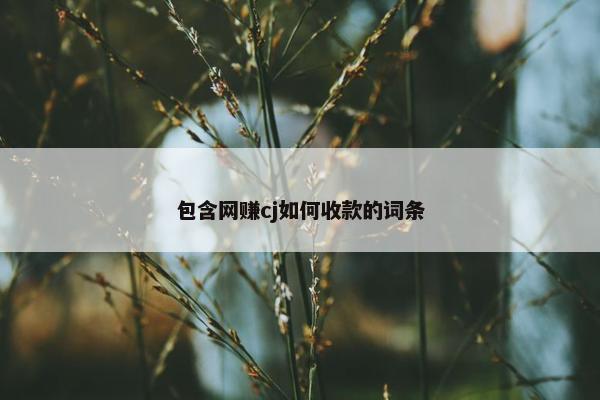 包含网赚cj如何收款的词条