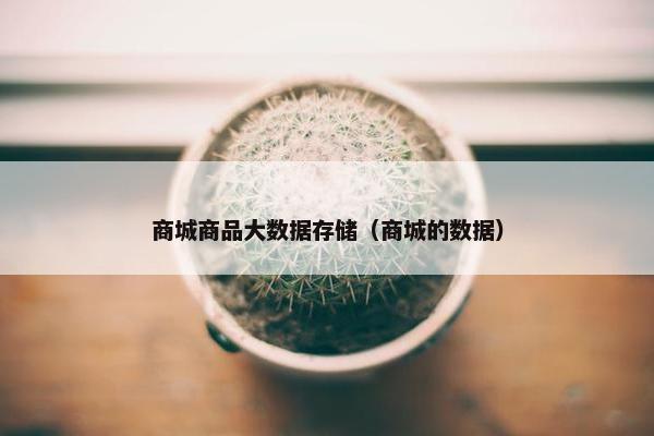 商城商品大数据存储（商城的数据）