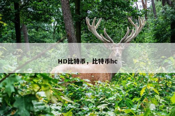 HD比特币，比特币hc