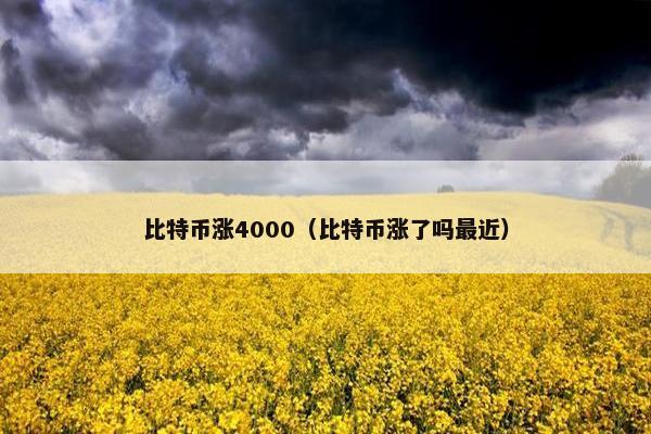 比特币涨4000（比特币涨了吗最近）