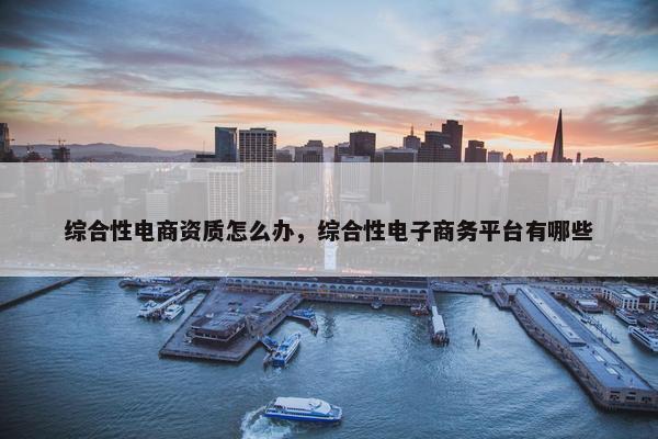 综合性电商资质怎么办，综合性电子商务平台有哪些