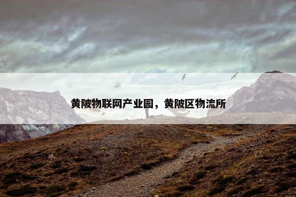 黄陂物联网产业园，黄陂区物流所