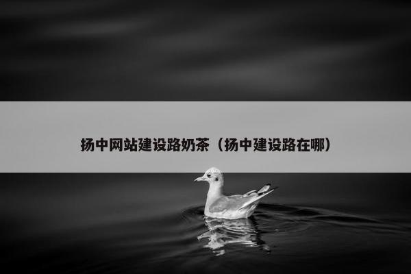 扬中网站建设路奶茶（扬中建设路在哪）