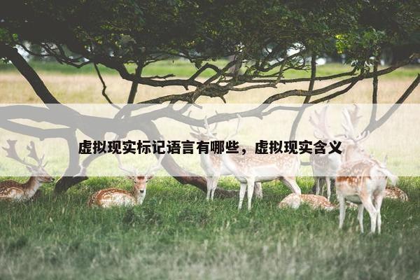 虚拟现实标记语言有哪些，虚拟现实含义