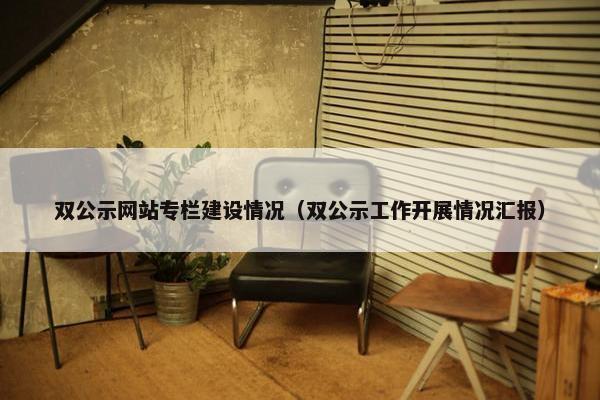 双公示网站专栏建设情况（双公示工作开展情况汇报）