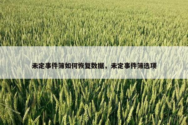 未定事件簿如何恢复数据，未定事件簿选项