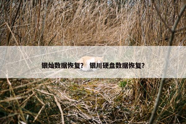 银灿数据恢复？ 银川硬盘数据恢复？