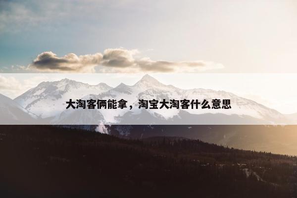 大淘客俩能拿，淘宝大淘客什么意思