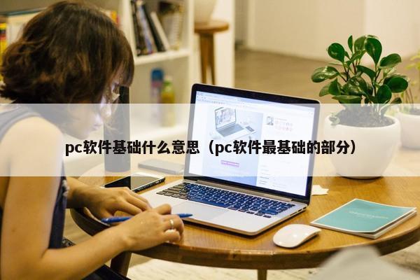 pc软件基础什么意思（pc软件最基础的部分）