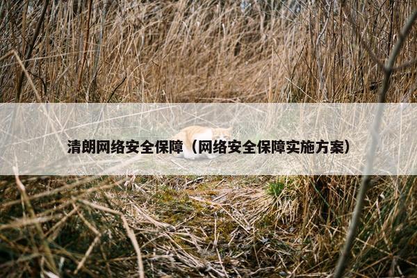清朗网络安全保障（网络安全保障实施方案）