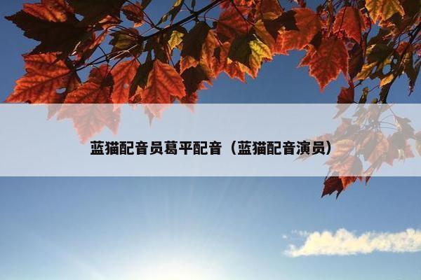 蓝猫配音员葛平配音（蓝猫配音演员）