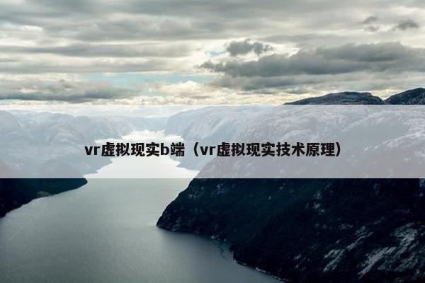 vr虚拟现实b端（vr虚拟现实技术原理）