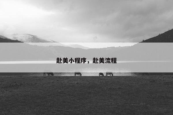 赴美小程序，赴美流程