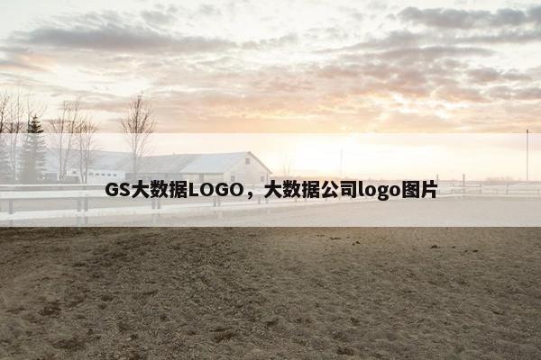 GS大数据LOGO，大数据公司logo图片