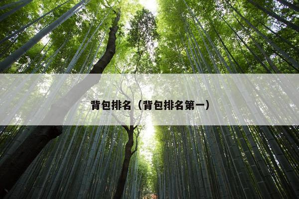 背包排名（背包排名第一）
