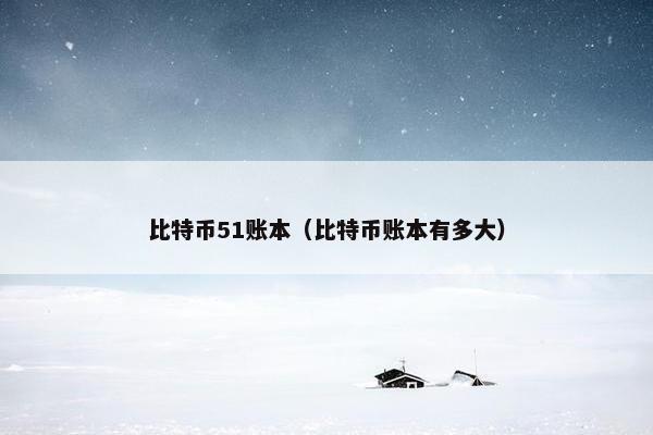 比特币51账本（比特币账本有多大）