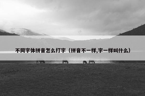 不同字体拼音怎么打字（拼音不一样,字一样叫什么）