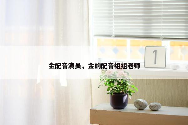 金配音演员，金的配音组组老师