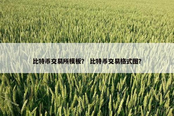 比特币交易所模板？ 比特币交易格式图？