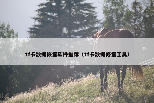 tf卡数据恢复软件推荐（tf卡数据修复工具）