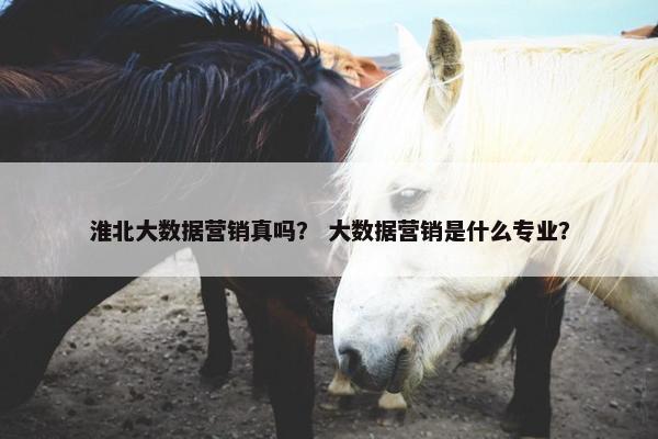 淮北大数据营销真吗？ 大数据营销是什么专业？
