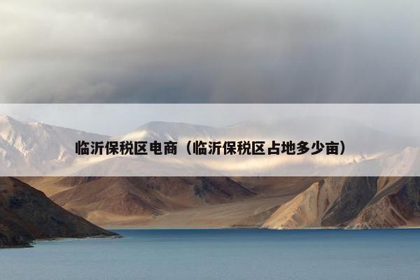 临沂保税区电商（临沂保税区占地多少亩）