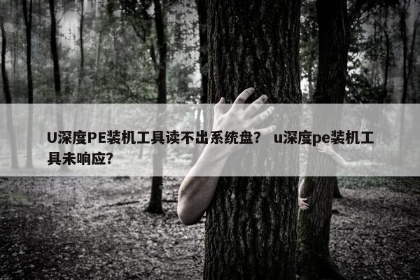 U深度PE装机工具读不出系统盘？ u深度pe装机工具未响应？