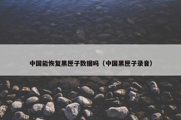 中国能恢复黑匣子数据吗（中国黑匣子录音）