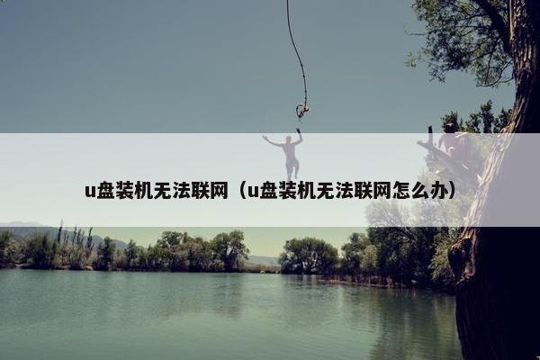u盘装机无法联网（u盘装机无法联网怎么办）