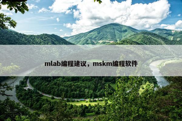 mlab编程建议，mskm编程软件