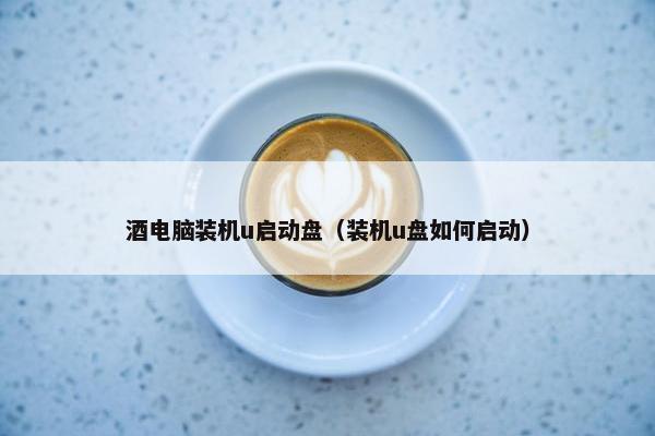 酒电脑装机u启动盘（装机u盘如何启动）