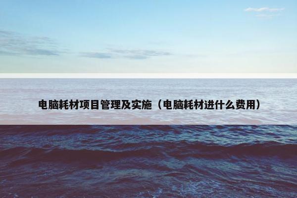 电脑耗材项目管理及实施（电脑耗材进什么费用）