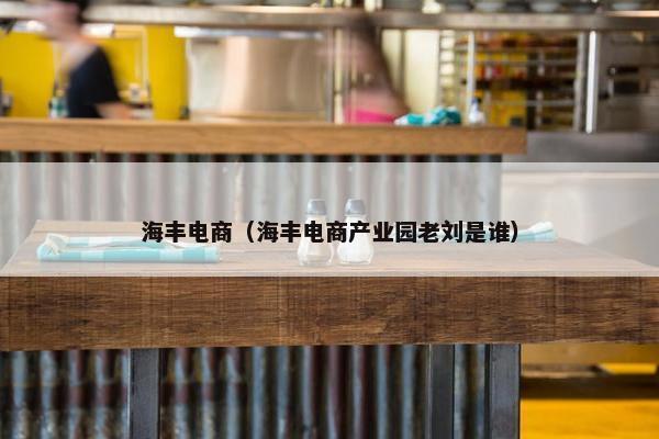 海丰电商（海丰电商产业园老刘是谁）