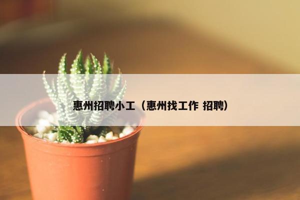 惠州招聘小工（惠州找工作 招聘）