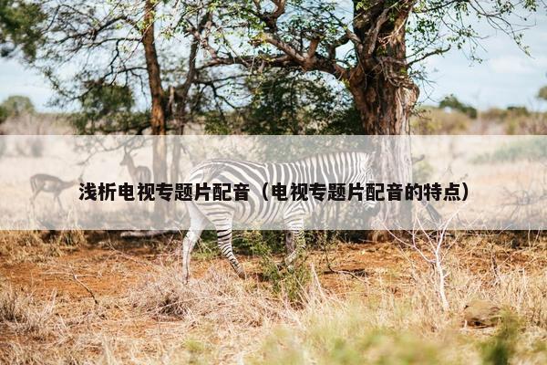 浅析电视专题片配音（电视专题片配音的特点）